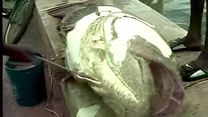 100508a.jpg