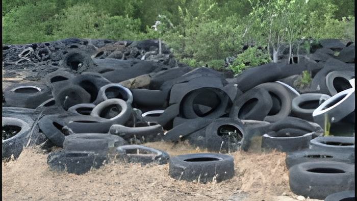tire.april19.2017.jpg