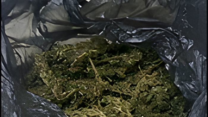 drugs18.4.16.jpg