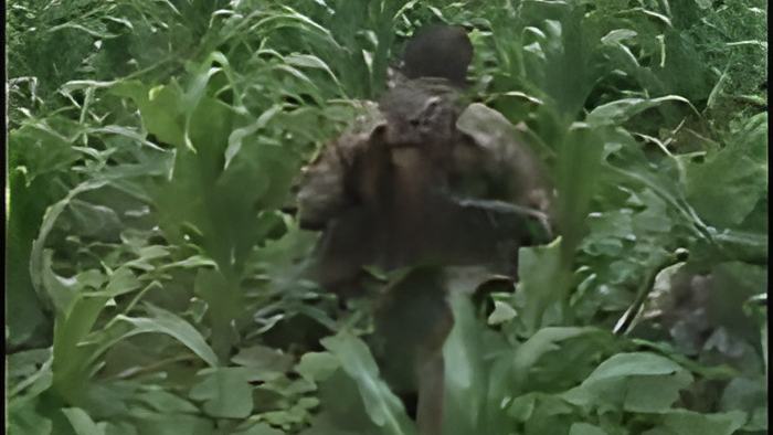 patrolling.july26.13.jpg