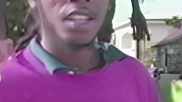 011101a.jpg