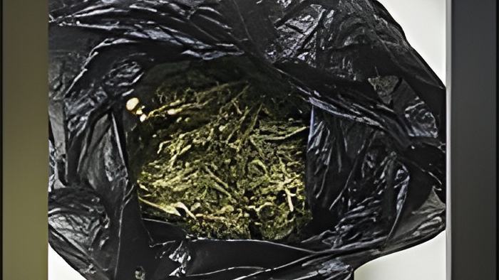 weed5.9.17.jpg