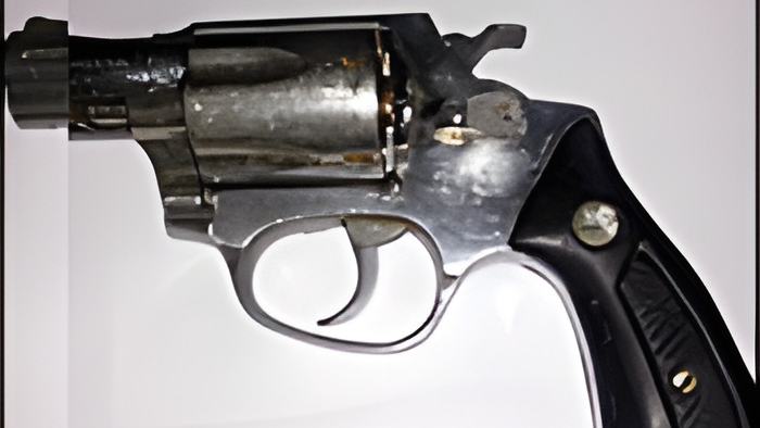gun1.9.14.jpg