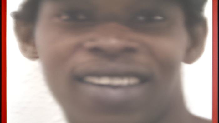 bobo.august26.2015.jpg