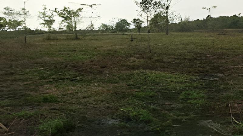 032611e.jpg