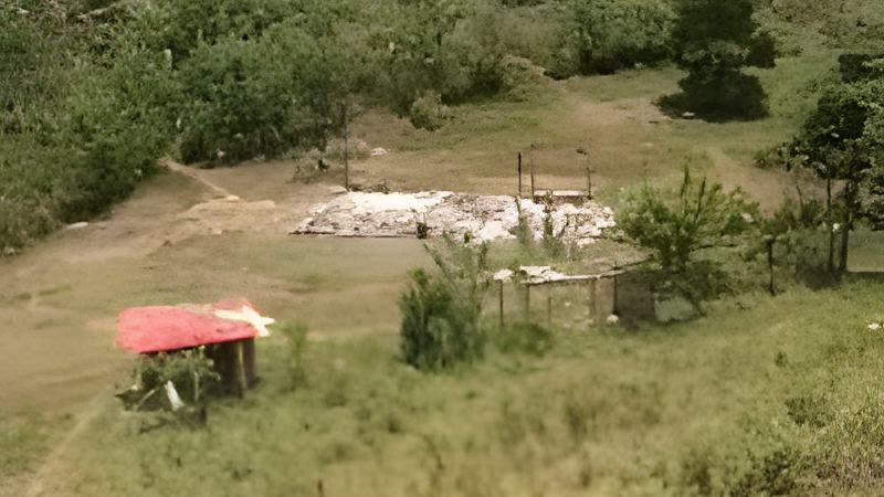 050801c.jpg